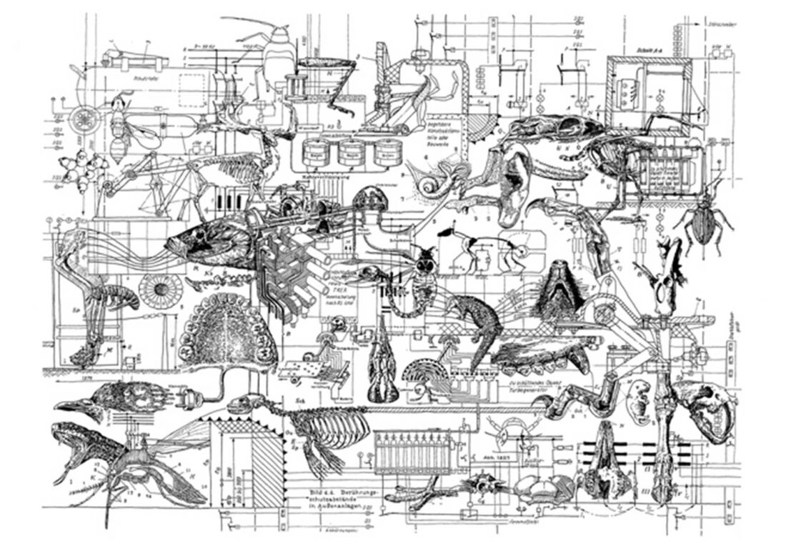 aline-helmcke-2007-drawing-integrated-circuit-evolutionary